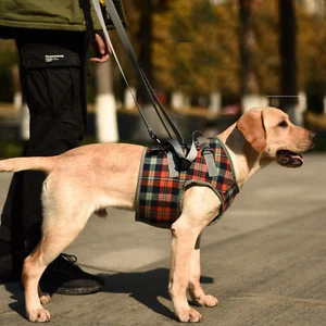 Hands Free Dog Leash Adjustable Length Multifunctional Strong Dog Training Leads - Picture 1 of 12