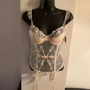 Victorias Secret Designer Collection Sheer Mesh Push-Up Bustier Corset 34B Pink - Picture 1 of 5
