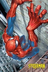 Spider-Man Poster - Official Marvel Comics NYC Climbing Maxi Poster 91.5 x 61cm - Picture 1 of 2