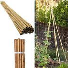 20 x 4FT Bamboo Canes Sticks 120cm