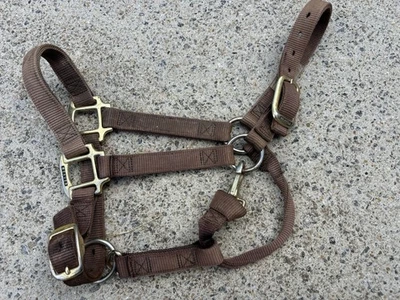 Halter marrón talla caballo tejedor de un año usado - 300-500 ibs Foto 1 de 4