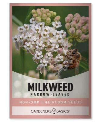 GARDENERS BASICS Narrow-Leaved (Whorled) Milkweed Seeds