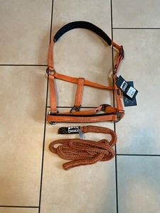 Eskadron Halfter NEU Vermillion Platinum inkl. Strick WB orange rot - Bild 1 von 8