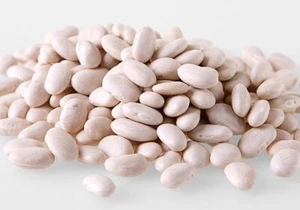 CANNELLINI BEANS / White Kidney Bean - 1kg 2kg 5kg 10kg 15kg 20kg 30kg 40kg Bulk - Picture 1 of 6