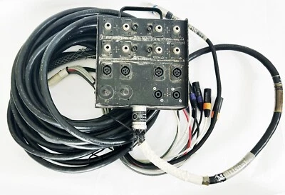 Whirlwind Medusa MultiSnake 4 Channel 50 Foot Snake 4 XLR inputs - Image 1 of 4