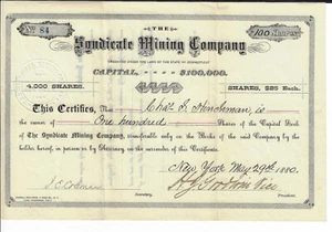 Connecticut 1880 The Syndicate Mining Company Aktienzertifikat #84 - Bild 1 von 2