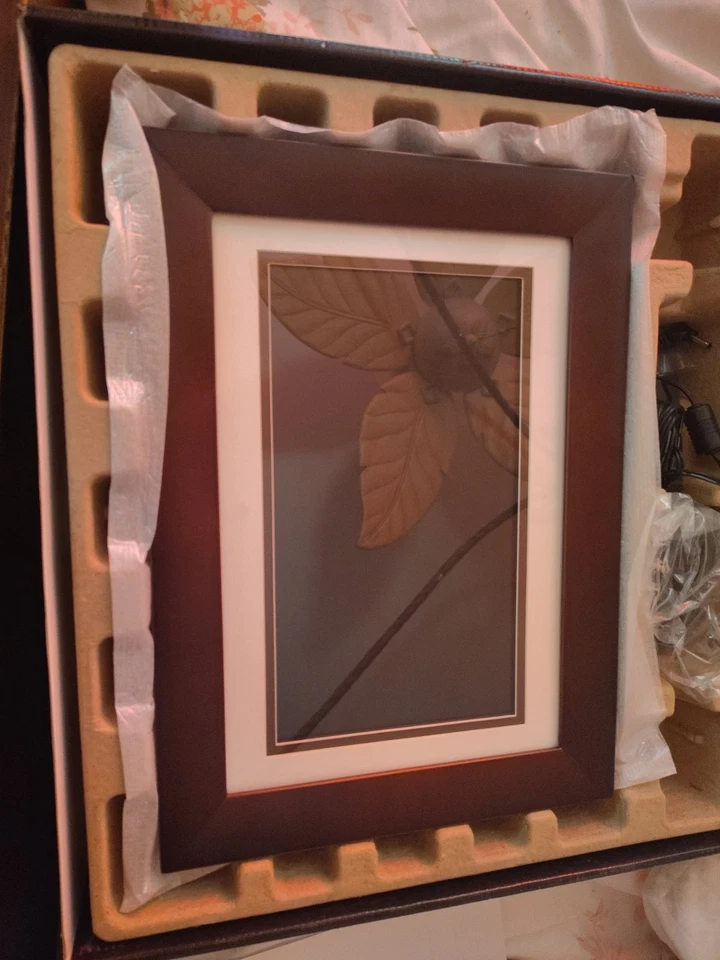 HP  Hewlett-Packard  10.1”  Digital Picture Photo Frame  Holds 1250 Images - Image 1 of 3