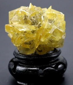 Dazzling GYPSUM Florets of CRYSTALS Canada Mineral Specimen on Wood Carved Stand - Picture 1 of 4