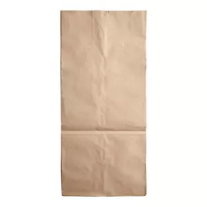 Bolsa de césped y hojas de papel Kraft natural autoportante de 2 capas Duro 30 galones - 10 ct - Imagen 1 de 1