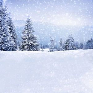 Winter Snow Wonderland Backdrop Christmas Forest Photo Background Studio Props - Picture 1 of 7
