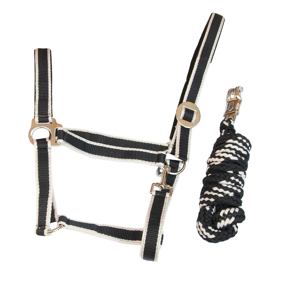 Halfterset Big - Bild 1 von 1