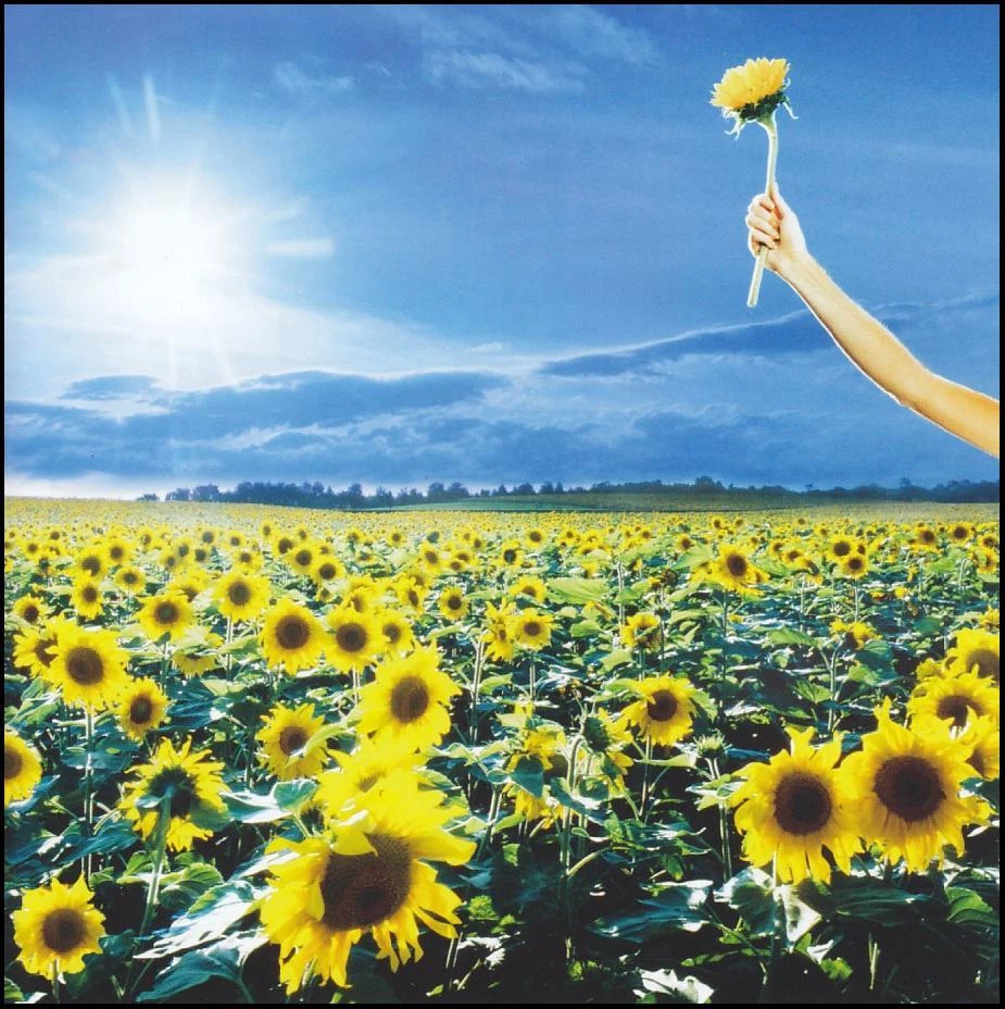 STONE TEMPLE PILOTS - THANK YOU CD w/BONUS Track ~ GREATEST HITS / BEST OF *NEW* - Image 1 of 1