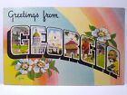 Greetings From Georgia Large Letter Linen Postcard Flowers Colourpicture Unused