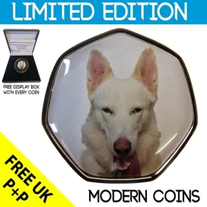 KANADISCHER WEISSER SCHIFFHUND 2021 SELTENES ORIGINAL MIT COA VON 1000 - Bild 1 von 5