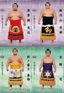 BBM Grand Sumo Trading Cards SHIN 2020 - Serie 2 Komplettsatz 81 Hakuho - Bild 1 von 2