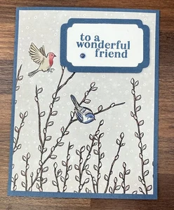 Stampin Up Kartenset Hallo "An einen wunderbaren Freund" Nester der Wintervögel - 4 Karten - Bild 1 von 3