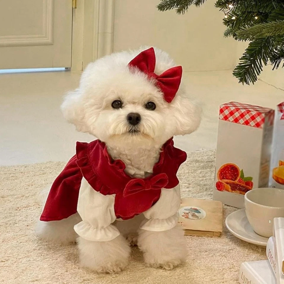 Perro Navidad Princesa Vestido Mascota Gato Ropa Invierno Vacaciones Navidad Conjunto Otoño Foto 1 de 1