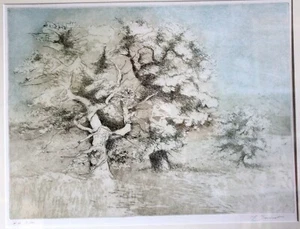 Original Mi Desmedt Radierung Künstlerproof nummeriert 5/10 - Bild 1 von 2