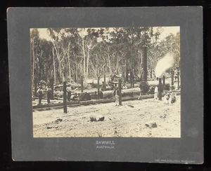 1890s Sawmill Waigerup Steam Engine Philadelphia Museums Wagerup WAA Australia - Picture 1 of 2