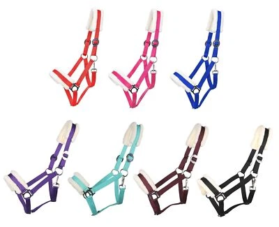 Solides Pferdehalfter gepolstert und verstellbar Größe Mini Shetty bis Full - Bild 1 von 2