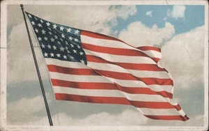 Amerikanische Flagge "Old Glory" weht gegen bewölkten Himmel Detroit Pub. 1918 York,NY Al - Bild 1 von 2