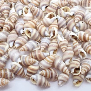Lote de 100 piezas a rayas con bandas ASIAN SHELL CUENTAS comercio de divisas colección orgánica - Imagen 1 de 6