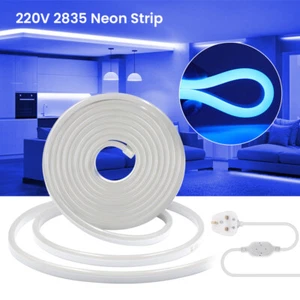 220V Neon LED Strip Flex Rope Light Waterproof Flexible Family Outdoor Lighting - Picture 1 of 14