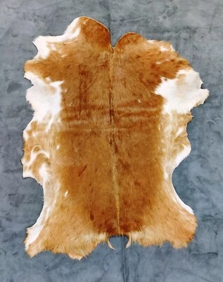 Decoração de pele de animal neutra, couro de cabra nórdico, casaco de pele de couro taxidermia - Imagem 1 de 4