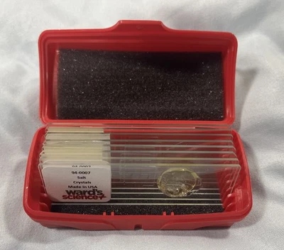 Ward's Science - Microscope Slides - Protozoa Plaque - Set Of 8 Slides & Case - Image 1 of 4