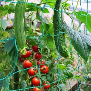 Trellis Netting, Climbing Plant Support Net Garden Pea Bean Neting, Heavy-Dut... - Picture 1 of 7