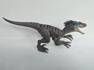 Veliciraptor solo da Jurassic World Rebirth Launch 'N Battle Vehicle Set - Foto 1 di 2