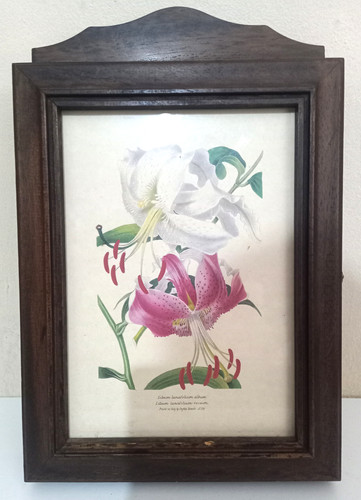 Foto 1 di 4
