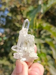 12g Natural Gemstone Clear Quartz Point Crystal Cluster Mineral Specimen - Picture 1 of 5