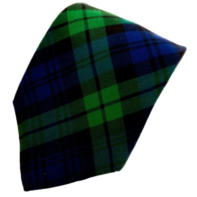 Corbata de algodón GAP verde y azul a cuadros ancha 57,75 pulgadas x 3,75 pulgadas. Foto 1 de 4