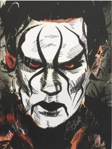 Rob Schamberger Autographed Sting 18 x 24 Poster Print WCW NWO Stinger Signed - Picture 1 of 1