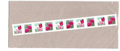 Scott #5665a (2022) Butterfly Garden 25 Stamp Coil - Sealed - Image 1 of 2