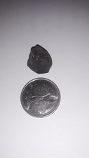 Camel Donga 4.60g Individual Fusion Crusted Meteorite