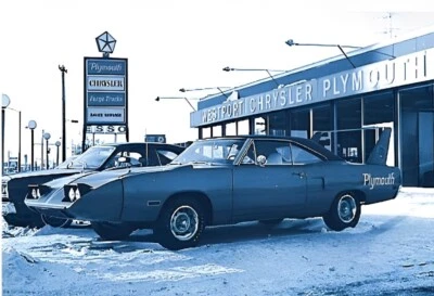 POP POSTERS NOT ALL BIRDS FLY SOUTH TO DODGE THE WINTER SUPERBIRD POSTER 24 X 18 Inches Nice