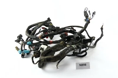 Triumph Tiger 955i 709EN 2002 - Wiring harness N89B - Image 1 of 2