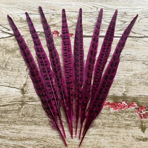 10-100pcs Beautiful Natural Pheasant Tail Feather 10-14 inch/25-35 cm Decoration - Picture 1 of 12