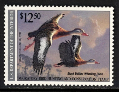 SCOTT RW57 1990 $12.50 WHISTLING DUCKS DUCK STAMP ISSUE MNH OG XF CAT $40! - Image 1 of 2