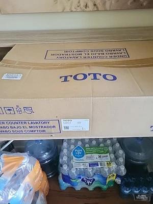 Fregadero de montaje inferior TOTO LT191G#01 20,5" con desbordamiento y CeFiONtect algodón blanco Foto 1 de 4