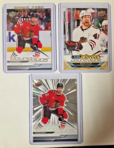 Nolan Allan YG, YG Canvas, YG Silver Outburst 2024-25 UD S2 - Picture 1 of 1