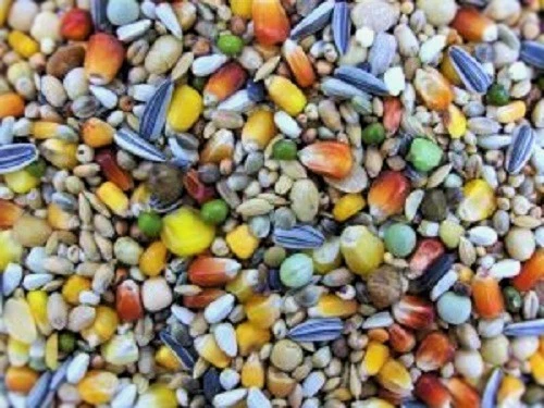 Matador Premium Reise 25kg Reisefutter für Brieftauben hochwertiges Taubenfutter - Bild 1 von 1