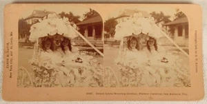 SWEET LITTLE MORNING GLORIES FLOWER CARNIVAL SAN ANTONIO TX STEREOVIEW 1905 - Picture 1 of 2