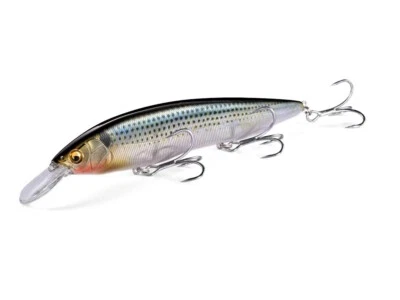 NEU Megabass Kanata +1 SW 16cm 31g Floating Meeresköder FARBEN