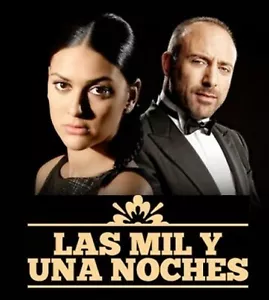 SERIE TURCA, LAS MIL Y UNA NOCHE, 44 DVD, 176 CAPITULOS, 2009, EXCELENTE - Imagen 1 de 2