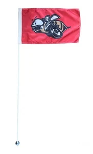 JLP 3,5 pies de alto 1/4 n poste 12x19 ATV látigo bandera glamis bandera súper abejorro - Imagen 1 de 6
