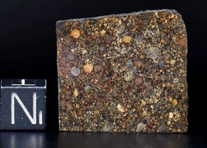 Meteorite NWA 16457 - LL3 Chondrite - STUNNING Chondrules - polished Slice 6.5g - Picture 1 of 4