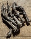 6 Rooster Pheasant Feet Spurs Legs Taxidermy,Bird Feet,Occult,Voodoo Witchcraft